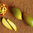 Totapuri Mango 1 Seed Fresh Garden