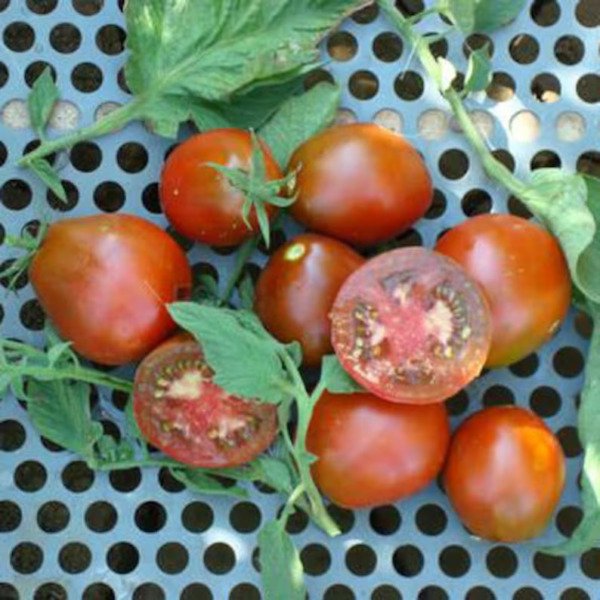 Black Truffle Tomato 25 Seeds Heirloom Non G.M.O Fresh Garden