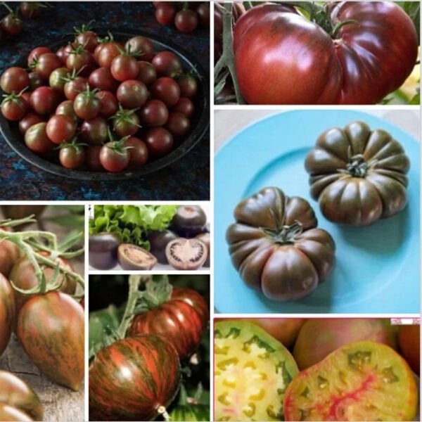 Black Tomato Mix 25 Seeds Heirloom Fresh Garden