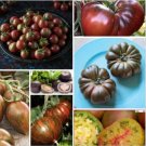 Black Tomato Mix 25 Seeds Heirloom Fresh Garden