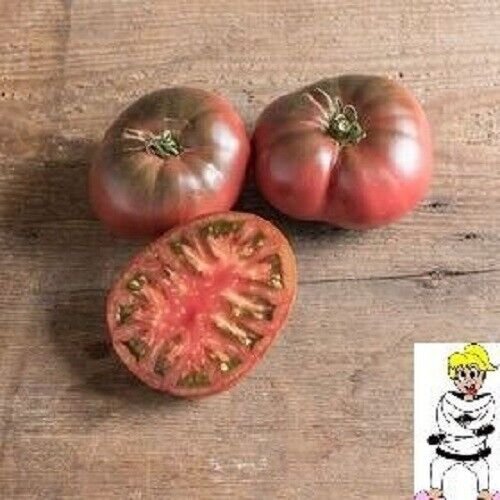 Black Russian Tomato 25 Seeds Heirloom Solanum Lycopersicum Fresh Garden