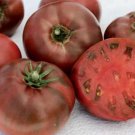 Carbon Black Tomato 25 Seeds Heirloom Fresh Garden