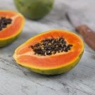 Samba Papaya 20 Seeds Usa Fresh Garden