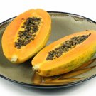 Guinea Gold Papaya 20 Seeds Fresh Garden