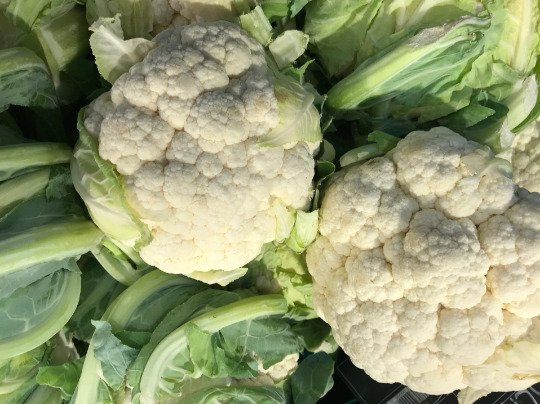 150 Cauliflower Snowball Self Blanching Seeds Fresh Garden