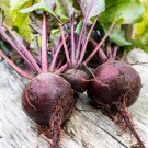 Lutz Green Leaf Beet 50 Seeds Fresh Garden