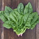 Bloomsdale Spinach 50 Seeds Heirloom Fresh Garden