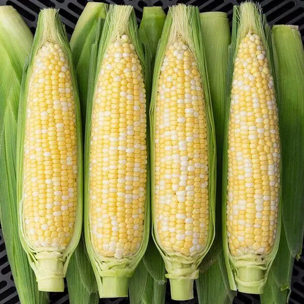Xtra Tender Sweet Corn 25 Seeds Fresh Garden