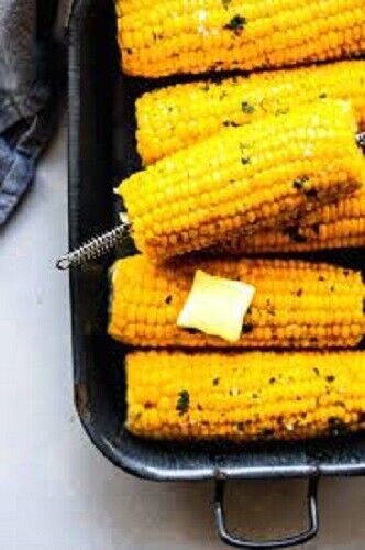 Bodacio Sweet Corn 25 Seeds Fresh Garden