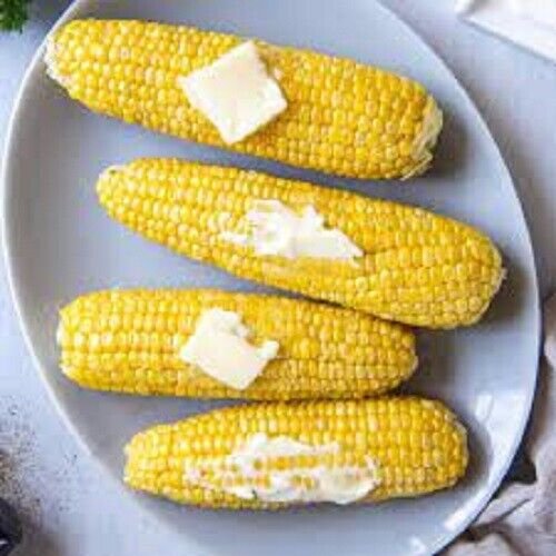 Kandy Corn Sweet Corn 25 Seeds Fresh Garden