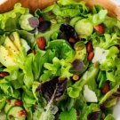 Salad Bowl Green Oakleaf Lettuce 500 Seeds Heirloom Fresh Garden