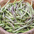 Rattlesnake Snap Bean Seed (Pole Type) Ships Fast Fresh Garden