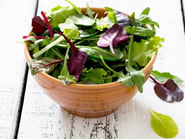 Mesclun Mix Lettuce 500 Seeds Heirloom Fresh Garden