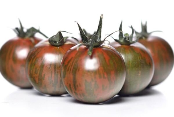 Black Zebra Tomato 25 Seeds Heirloom Fresh Garden