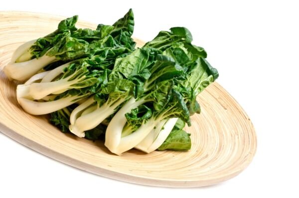 Tat Soi Chinese Cabbage 100 Seeds Heirloom Fresh Garden