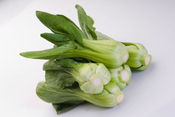 Canton Pak Choi 100 Seeds Heirloom Fresh Garden