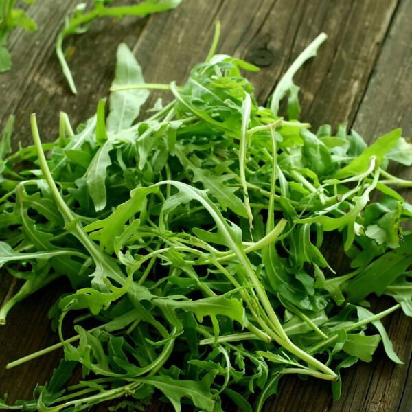 Wild Rocket Arugula 500 Seeds Heirloom Non Gmo Fresh Garden