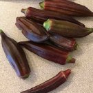 Rare French Quater Red Okra 15 Seeds Heirloom Fresh Garden