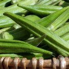 Lousiana Green Velvet Okra 50 Seeds Heirloom Fresh Garden