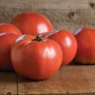42 Day Tomato 25 Seeds Heirloom Earliest Maturing Variety Fresh Garden