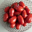 San Marzano Paste Tomato 25 Seeds Heliroom Fresh Garden