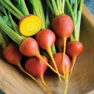 Burpee Golden Beet 50 Seeds Fresh Garden