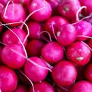 Pinkie Radish 50 Seeds Heirloom Fresh Garden