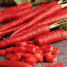 Atomic Red Carrot 50 Seeds Non Gmo Fresh Garden