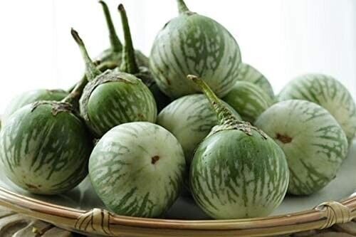 Petch Siam Green Round Thai Eggplant 25 Seeds Heirloom Fresh Garden