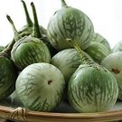 Petch Siam Green Round Thai Eggplant 25 Seeds Heirloom Fresh Garden