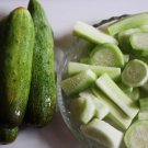 Poinsett Cucumber 25 Seeds 25 Seeds Non Gmo Cucumis Fresh Garden
