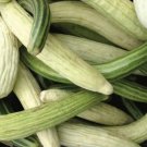 Armenian Cucumber Mix 15 Seeds Non Gmo Cucumis Fresh Garden