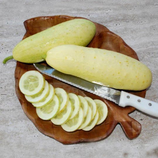 White Wonder Cucumber 25 Seeds Non Gmo Cucumis Fresh Garden