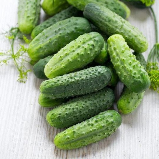Smr 58 Cucumber 25 Seeds Non Gmo Cucumis Fresh Garden