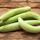 Pale Armenian Cucumber 25 Seeds Non Gmo Cucumis Fresh Garden