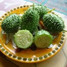 West Indian Gherkin Cucumber 10 Seeds Non Gmo Cucumis Fresh Garden