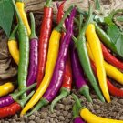 Cayenne Pepper Blend 30,000+ Scovilles Capsicum Heirloom Non Gmo 25 Seeds Fresh Garden