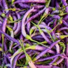 Purple Cayenne Pepper 30,000+ Scovilles Capsicum Heirloom Non Gmo 25 Seeds Fresh Garden