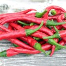 Red Cayenne Pepper 30,000+ Scovilles Capsicum Heirloom Non Gmo 25 Seeds Fresh Garden