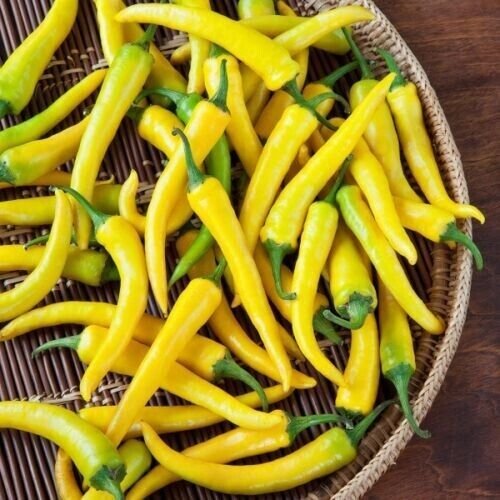 Yellow Cayenne Pepper 30,000+ Scovilles Capsicum Heirloom Non Gmo 25 Seeds Fresh Garden