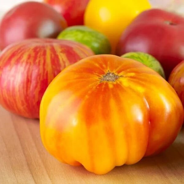 Hillbilly Bi Colored Tomato 25 Seeds Heirloom Solanum Lycopersicum Fresh Garden
