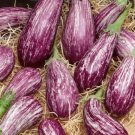 Galaxy Of Stars Eggplant 25 Seeds Heirloom (Solanum Melongena) Fresh Garden