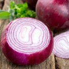 Red Creole Onion (Short Day) 100 Seeds Heirloom Allium Cepa Fresh Garden