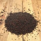 Turnip Seeds 200 Seeds Shogoin Fresh Garden