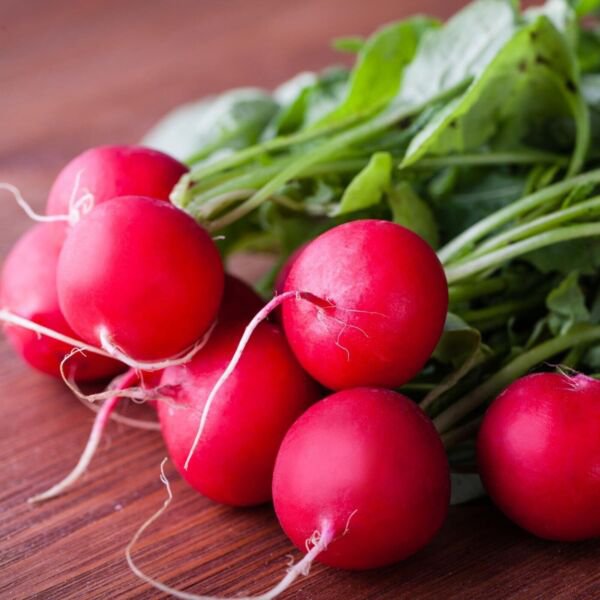 Early Scarlet Globe Radish Organic Non Gmo Heirloom 50 Seeds Fresh Garden