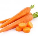 Carrot Tendersweet Non Gmo Heirloom 200 Pure Seeds Fresh Garden