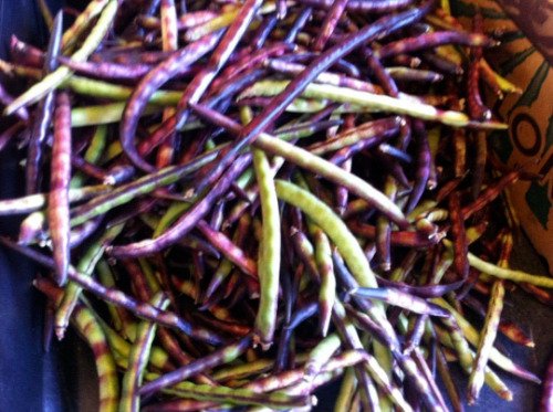 Purple Hull Pinkeye Cowpea Fresh Garden