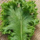 Organic Green Wave Mustard 2 G 1 000 Seeds Heirloom Non Gmo Fresh Garden