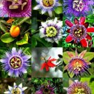 Rare Passiflora Mix Passion Fruit Exotic Flowering Vine 25 + Pure Seeds Fresh Garden