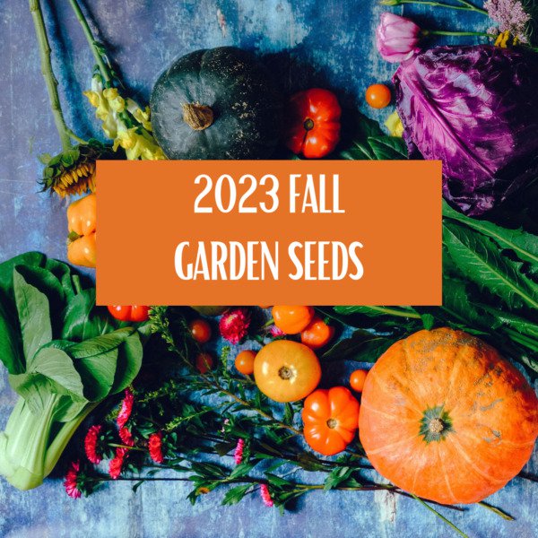 1000 Fall Seeds Bloomdale Spinach Georgia Collards Florida Greens Fresh Garden